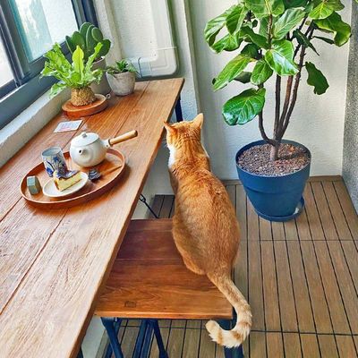 Versatile Wood Deck Tiles Waterproof Square  For Outdoor Use