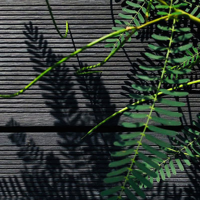 Good price Sturdy Wood Plastic Composite Panel Boards Fireproof Lightweight online